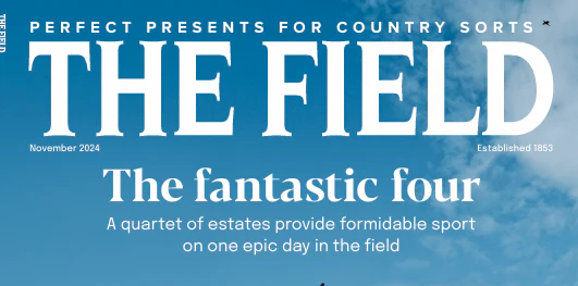 As seen in The Field's Christmas Gift Guide